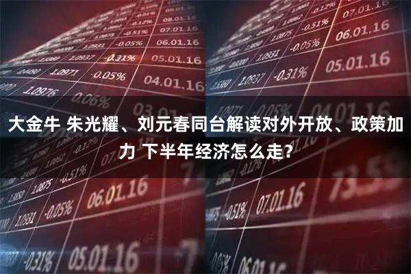 大金牛 朱光耀、刘元春同台解读对外开放、政策加力 下半年经济怎么走?