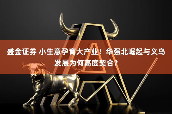 盛金证券 小生意孕育大产业！华强北崛起与义乌发展为何高度契合？