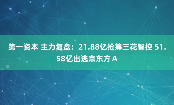 第一资本 主力复盘：21.88亿抢筹三花智控 51.58亿出逃京东方Ａ