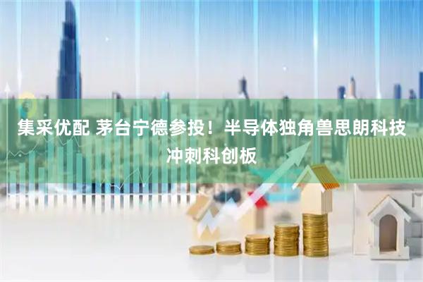 集采优配 茅台宁德参投!半导体独角兽思朗科技冲刺科创板