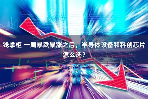 钱掌柜 一周暴跌暴涨之后，半导体设备和科创芯片怎么选？