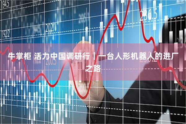 牛掌柜 活力中国调研行｜一台人形机器人的进厂之路