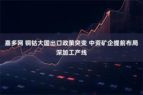 嘉多网 铜钴大国出口政策突变 中资矿企提前布局深加工产线