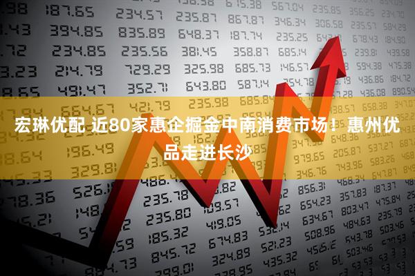 宏琳优配 近80家惠企掘金中南消费市场！惠州优品走进长沙